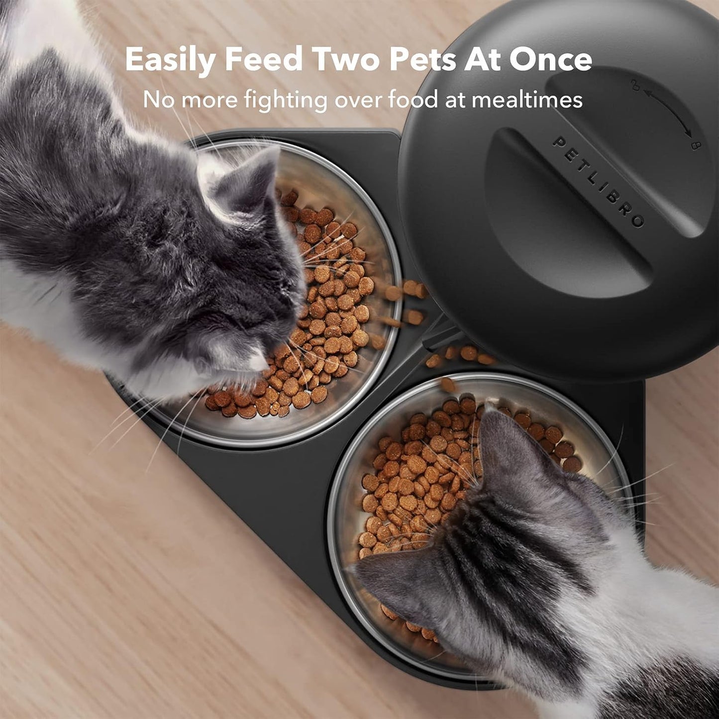 Automatic Cat Feeder – Timed Dispenser with 6 Meals/Day